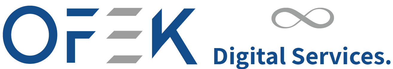wordpress development
